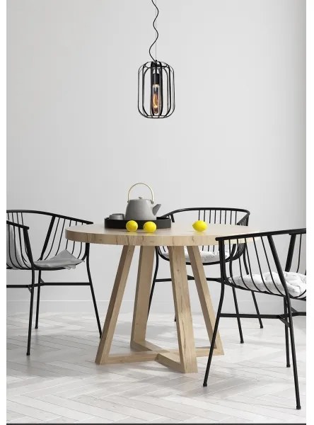 Lustră pe cablu FERN 1xE27/60W/230V Lucide 25409/01/30