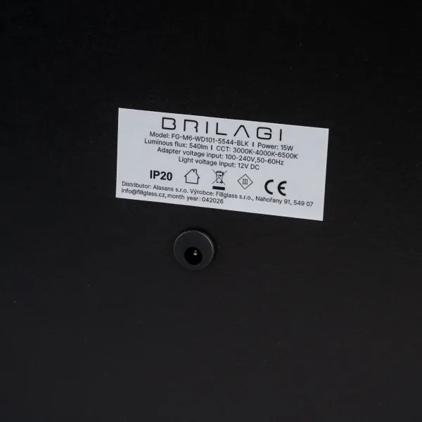 Brilagi -LED Oglindă de machiaj reglabilă CALIFORNIA LED/22W/230V 58x43 cm neagră