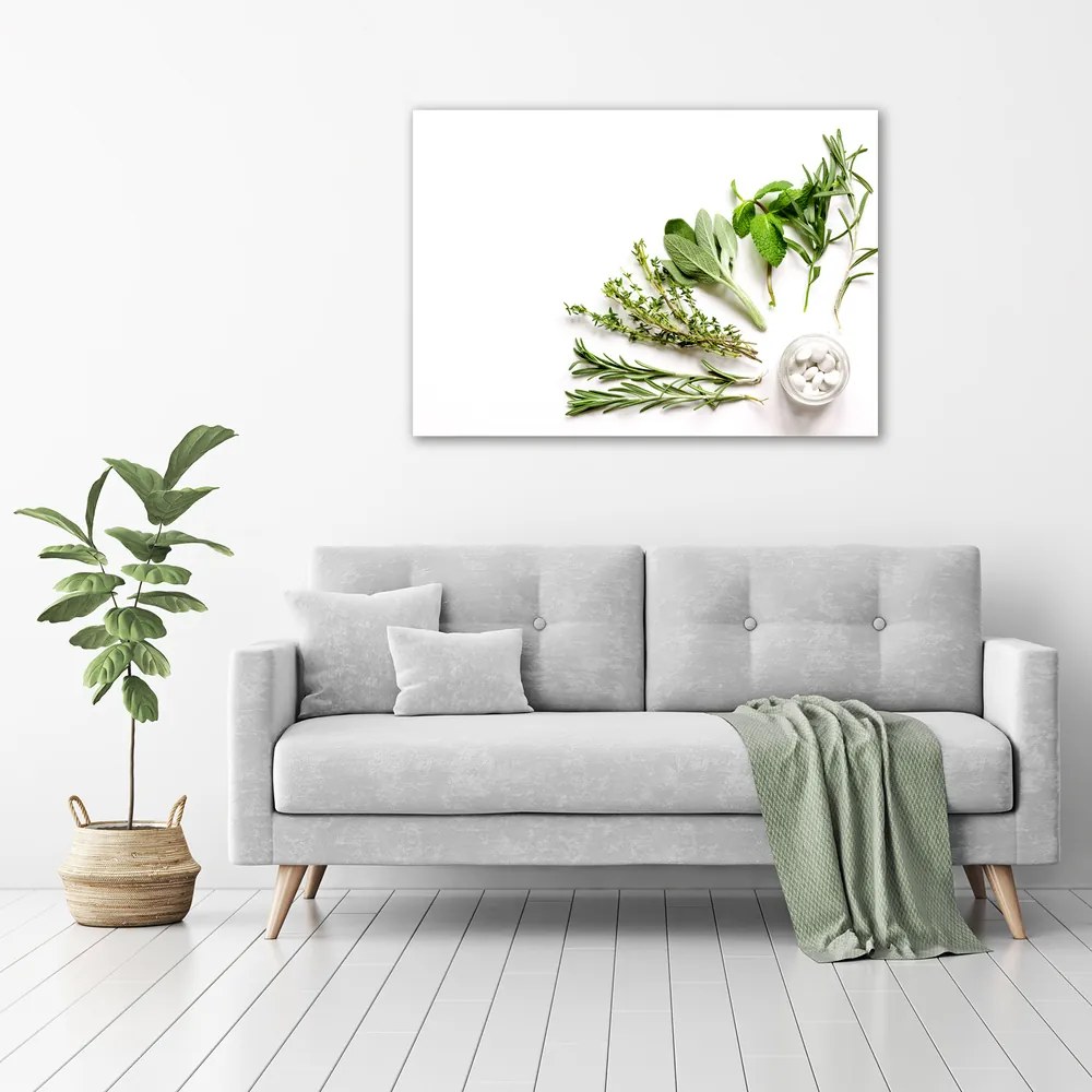 Tablou canvas Ierburi
