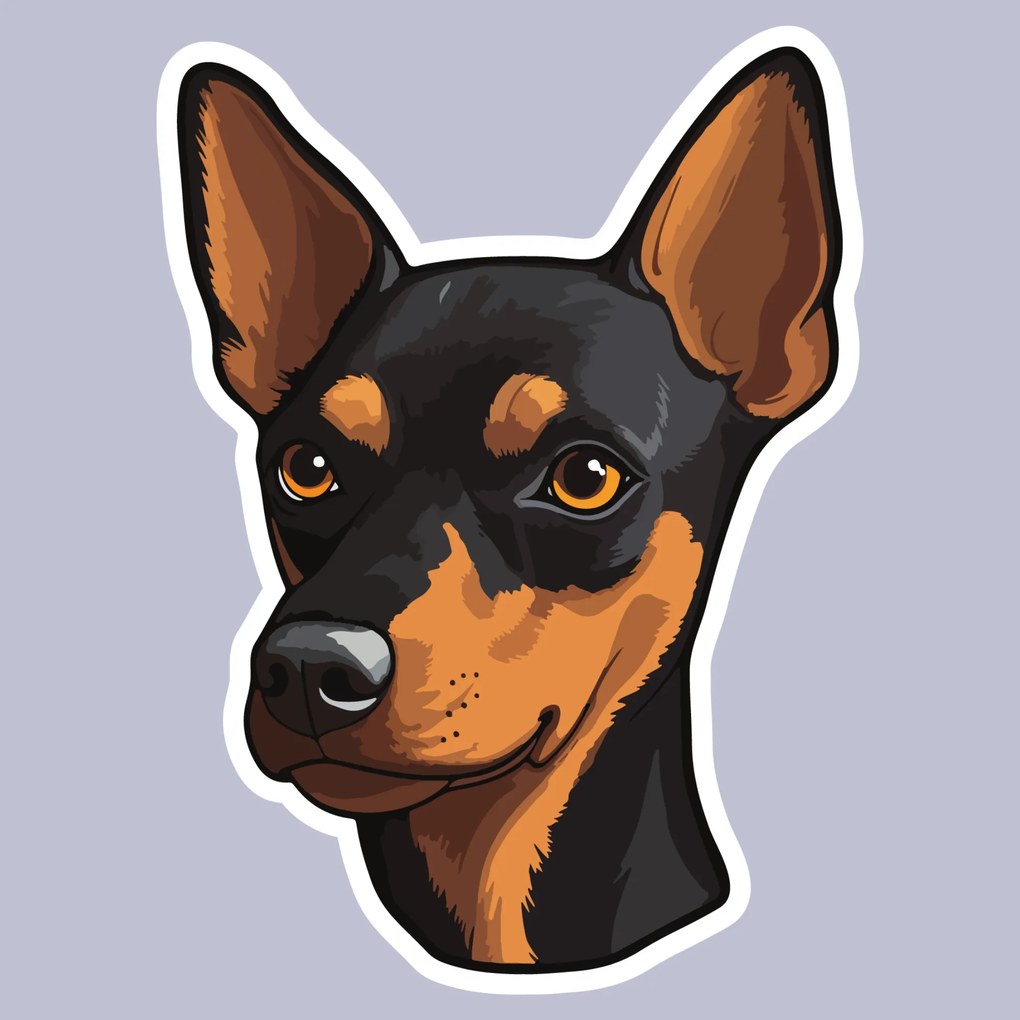 PIPPER. Autocolant Pinscher miniatural mărimea: 60cm