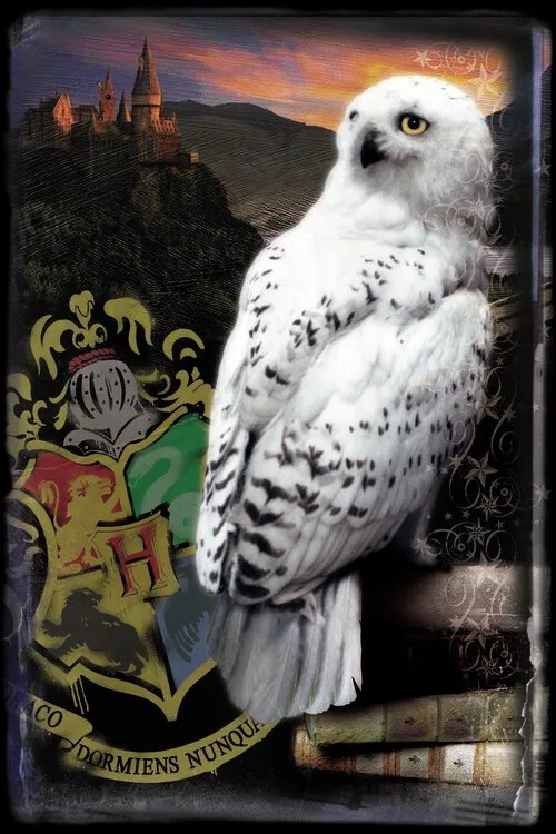 Poster de artă Harry Potter - Hedwig