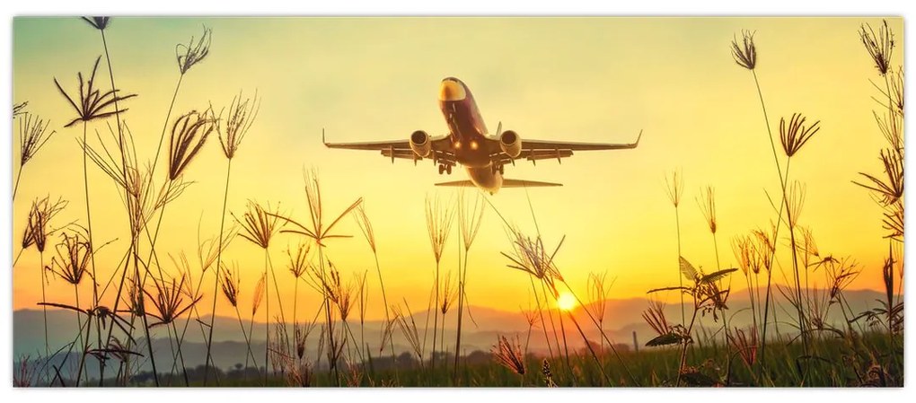 Tablou cu avionul ridicându-se spre zbor (120x50 cm)