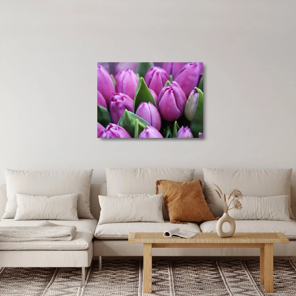 Tablou pe sticlă - florile lalelelor (70x50 cm)