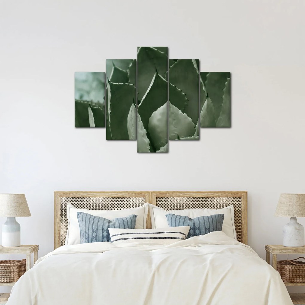 Tablou - Agave verde (150x105 cm)