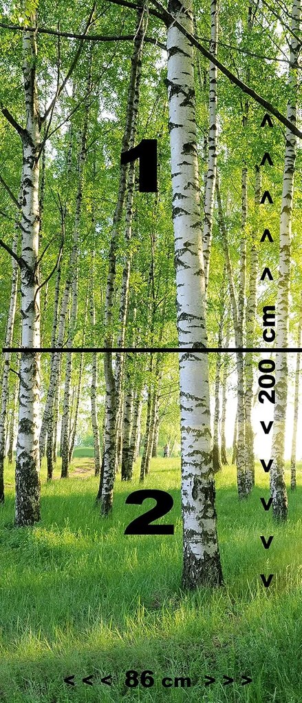 Fototapeta pentru usa BIRCH GROVE 86x200 cm