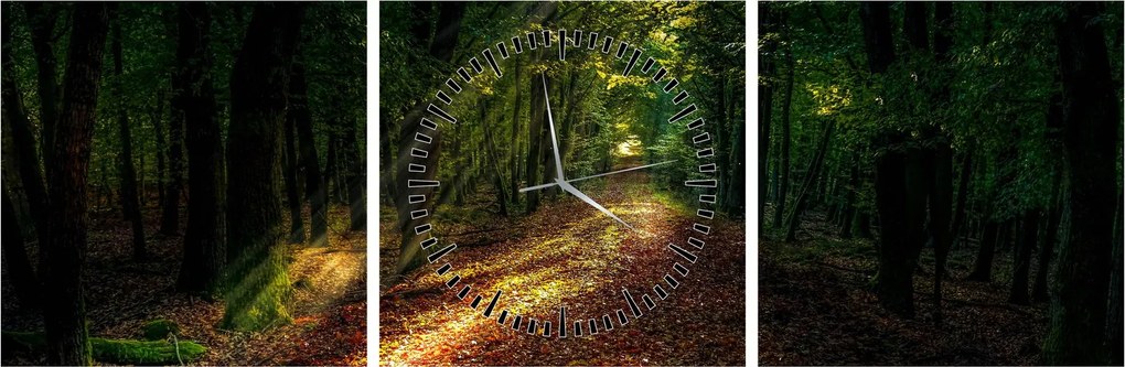 Tablou cu poteca prin pădure (cu ceas) (90x30 cm)