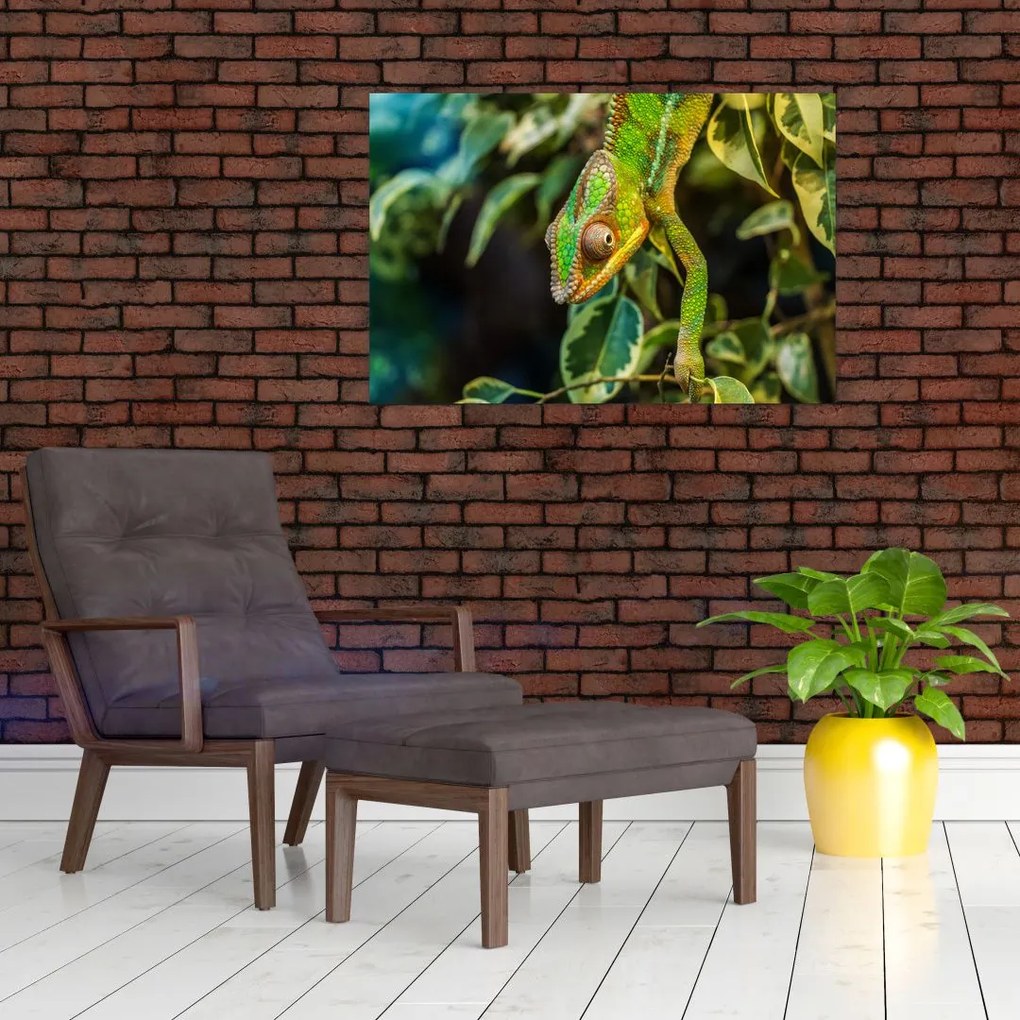 Tablou cu cameleon (90x60 cm)