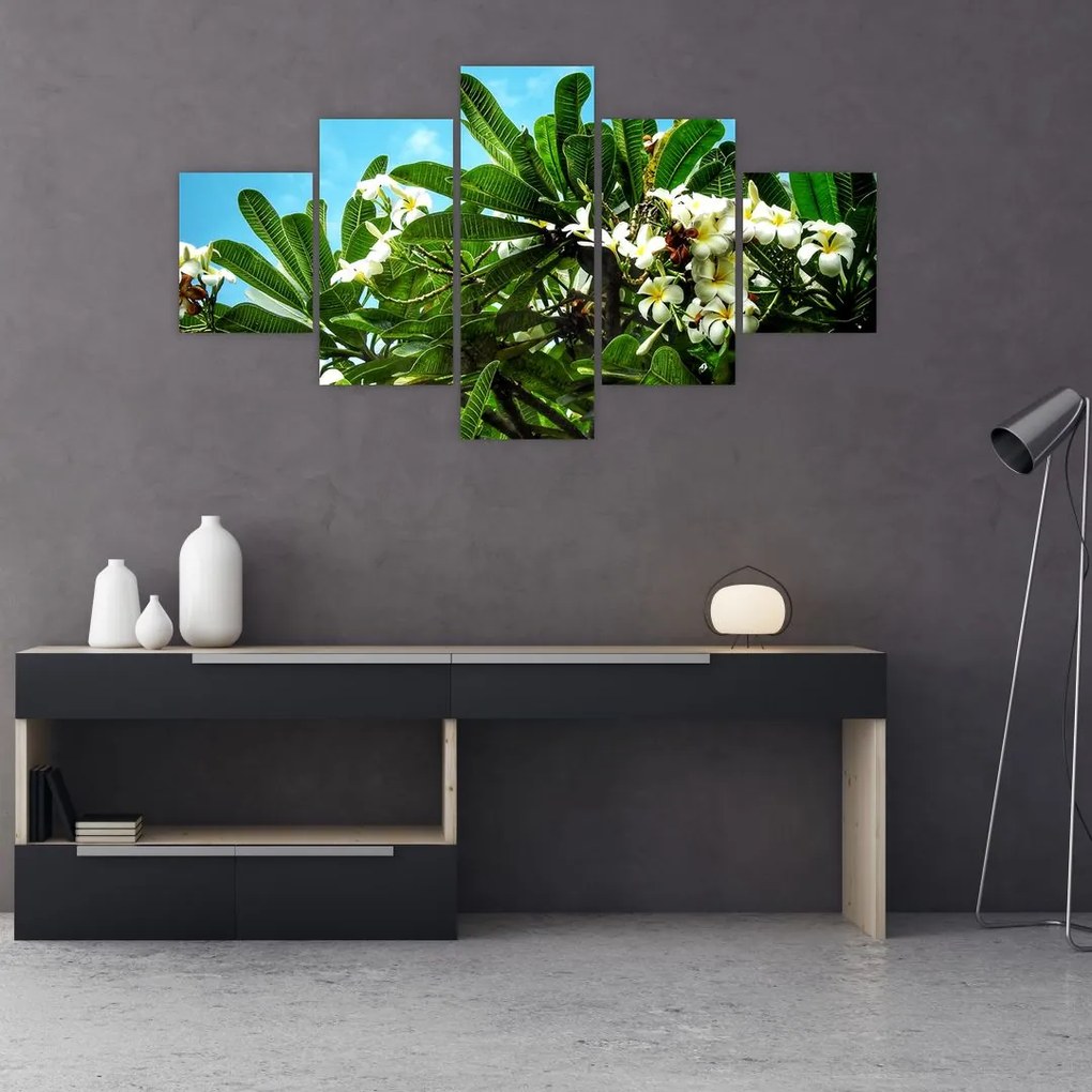 Tablou - Plumeria (125x70 cm), în 40 de alte dimensiuni noi