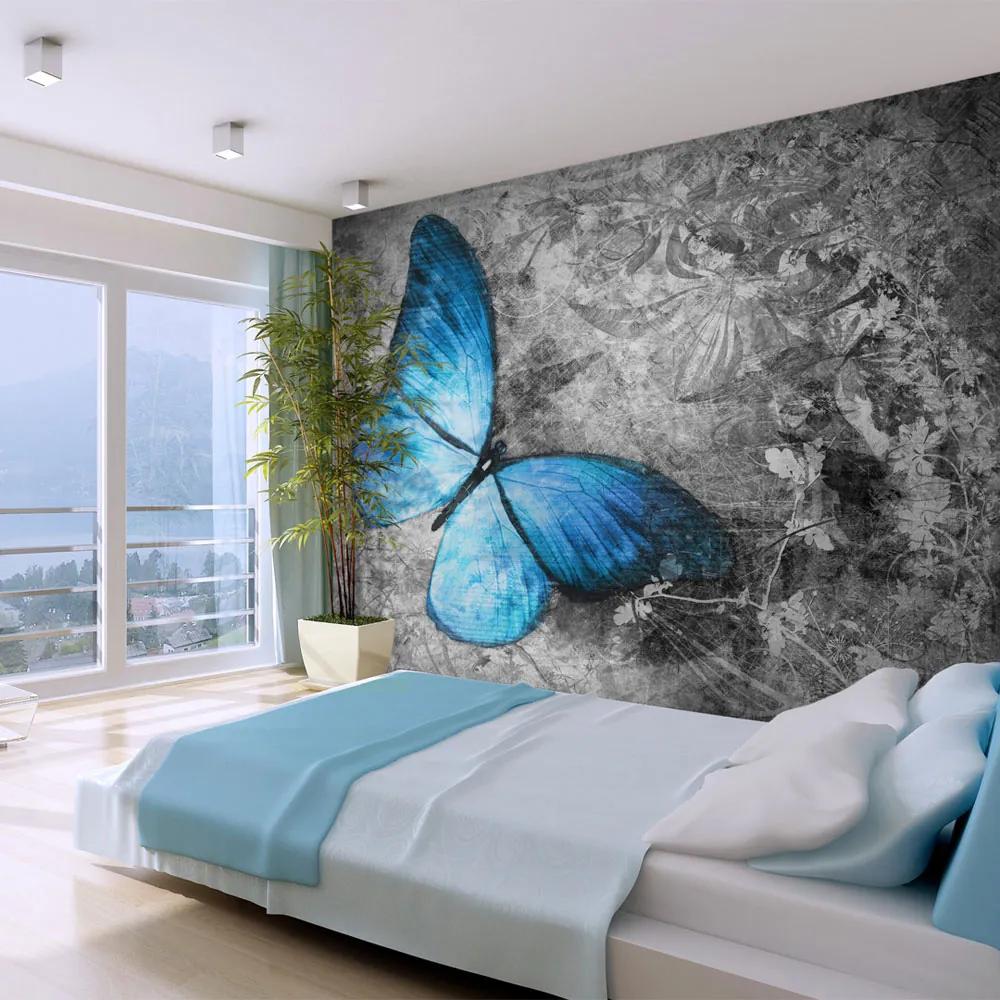 Fototapet Bimago - Blue butterfly + Adeziv gratuit 200x154 cm