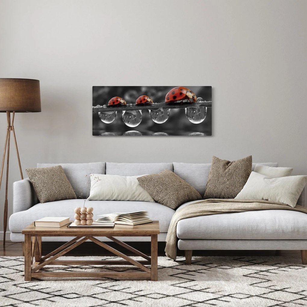 Tablou - Floarea-soarelui, alb și negru (120x50 cm)