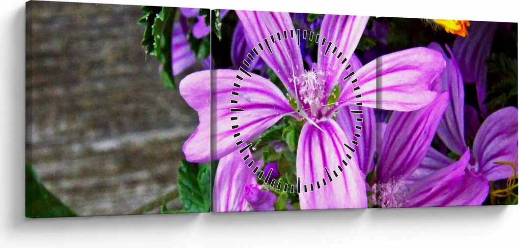 Tablou -flori de câmp (cu ceas) (90x30 cm)
