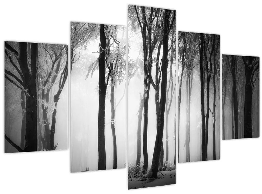 Tablou - Lup în pădurea întunecată (150x105 cm)