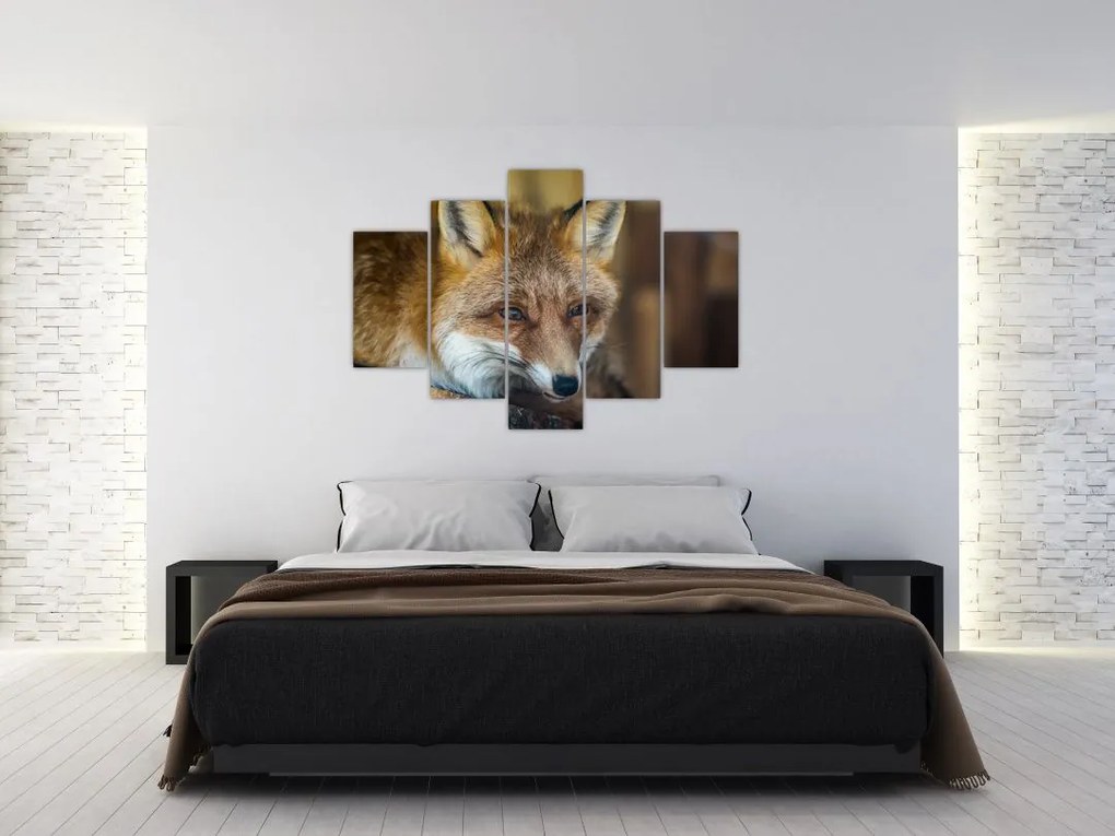 Tablou cu vulpe (150x105 cm)