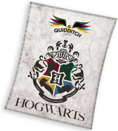 Pătură copii Harry Potter Famfrpál, 130 x 170 cm