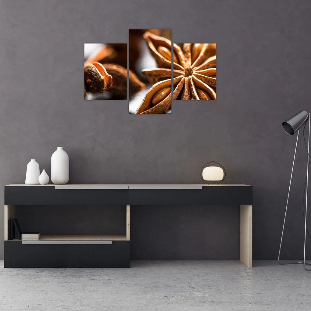 Tablou - Anason (90x60 cm)