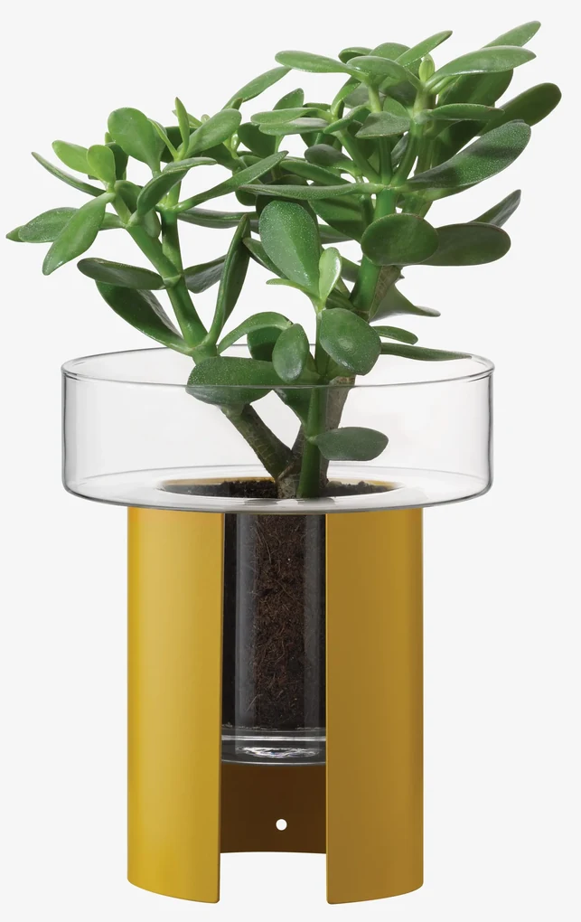Ghiveci de flori Terrazza, î. 22 cm, Ø19 cm, transparent/galben muștar - LSA international