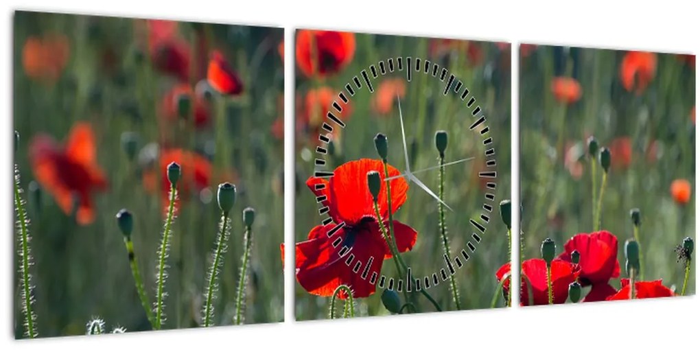 Tablou - Lunca cu maci (cu ceas) (90x30 cm)