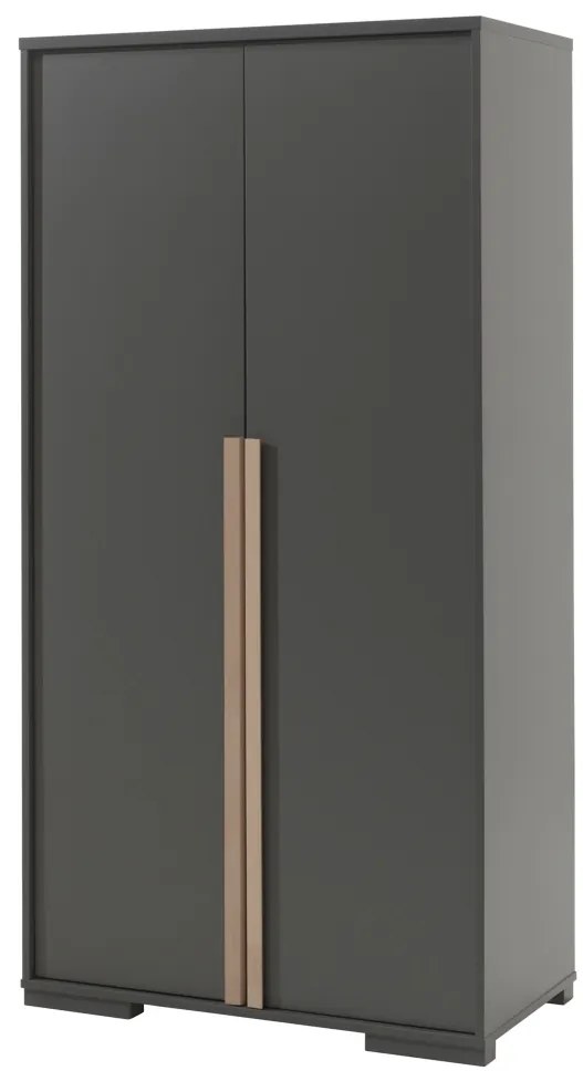 Dulap copii LONDON, 2 uși cu soft-close + rafturi interioare + bară de agățat, 98,5x56x195,2 cm, antracit/natural – Vipack
