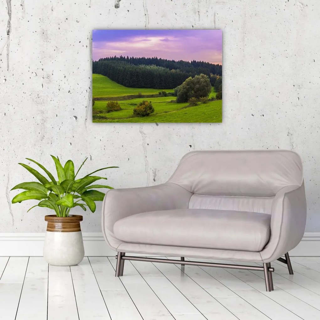Tablou cu lunca (70x50 cm)