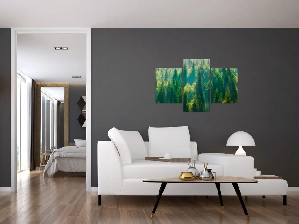 Tablou - Pădurea de brazi (90x60 cm)