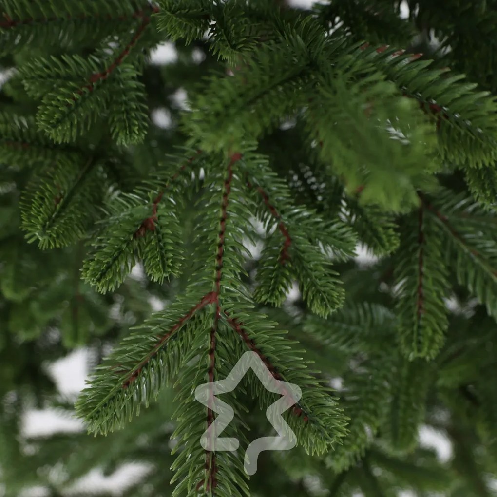 Molid Natura 100% 210 cm