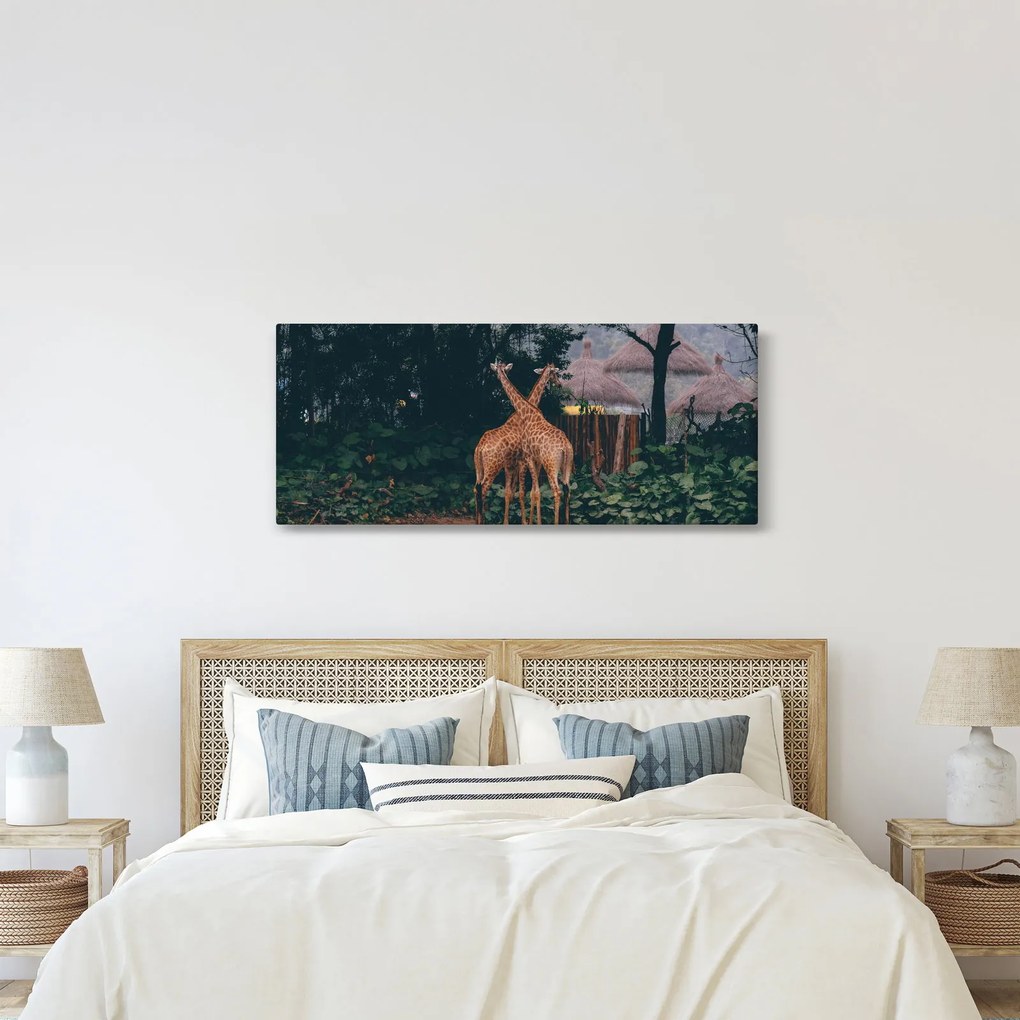 Tablou cu două girafe (120x50 cm)