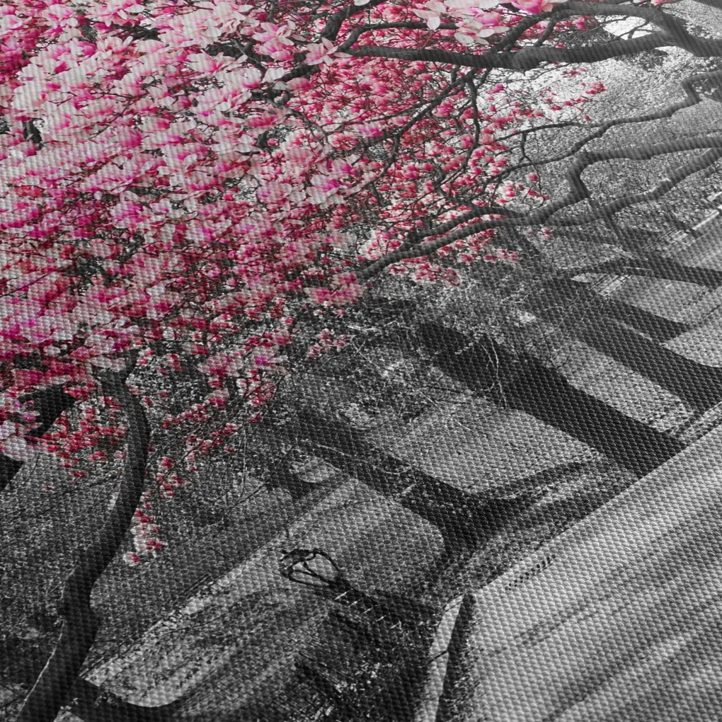 Tablou copacului magnolie (70x50 cm)