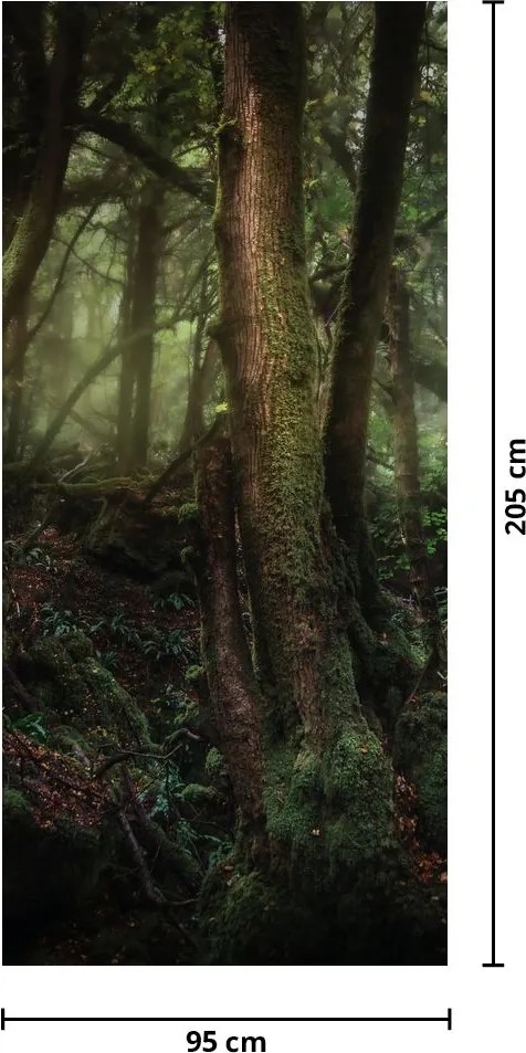 Fototapet pentru ușă - Pădurea misterioasă (95x205cm)