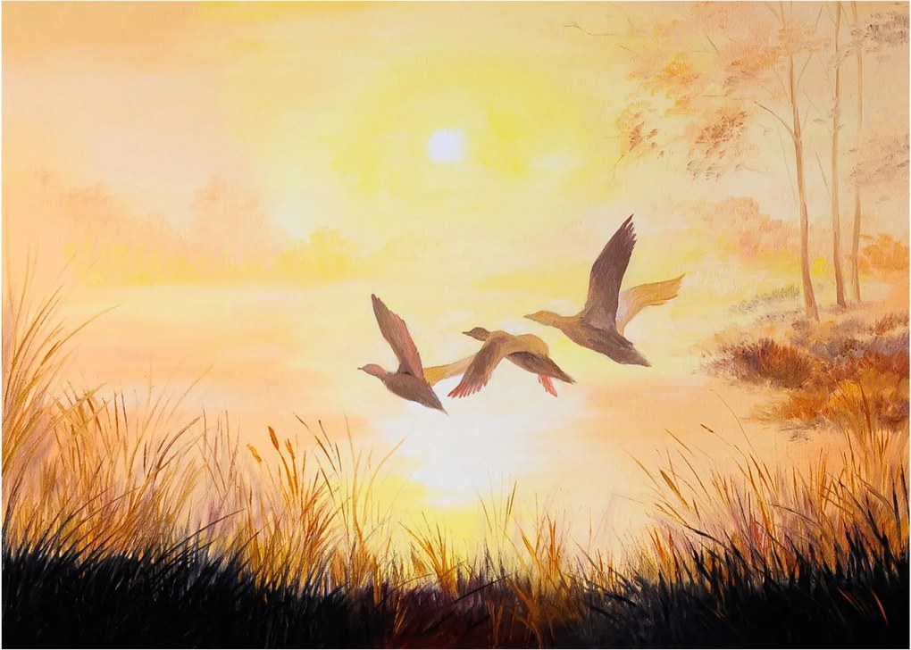 Tablou pe sticlă - Macarale la apus de soare (70x50 cm)