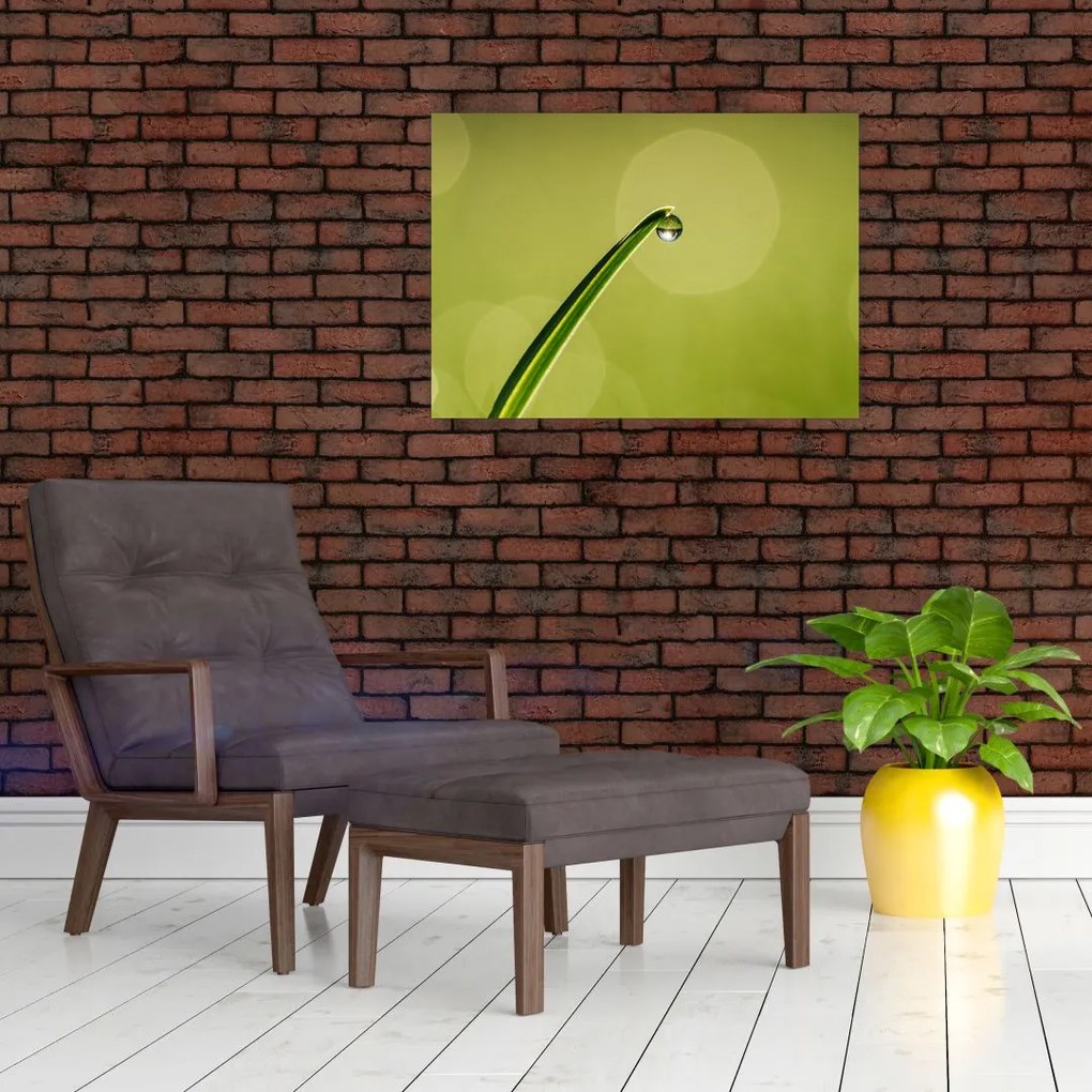 Tablou pe sticlă cu picătură de apă pe iarbă (70x50 cm)