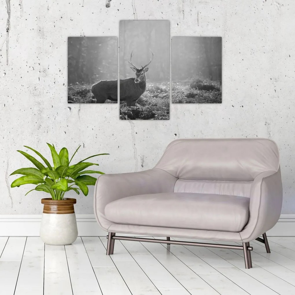 Tablou - Căprioare in pădure,alb-negru (90x60 cm)