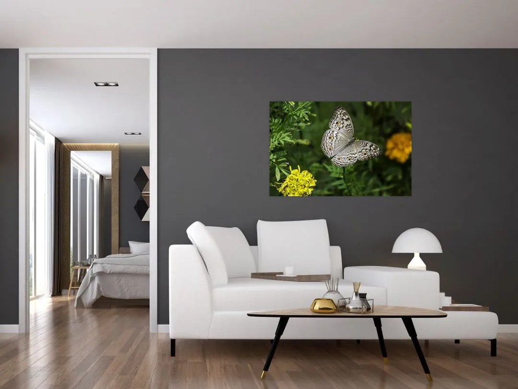Tablou - fluture alb (90x60 cm)