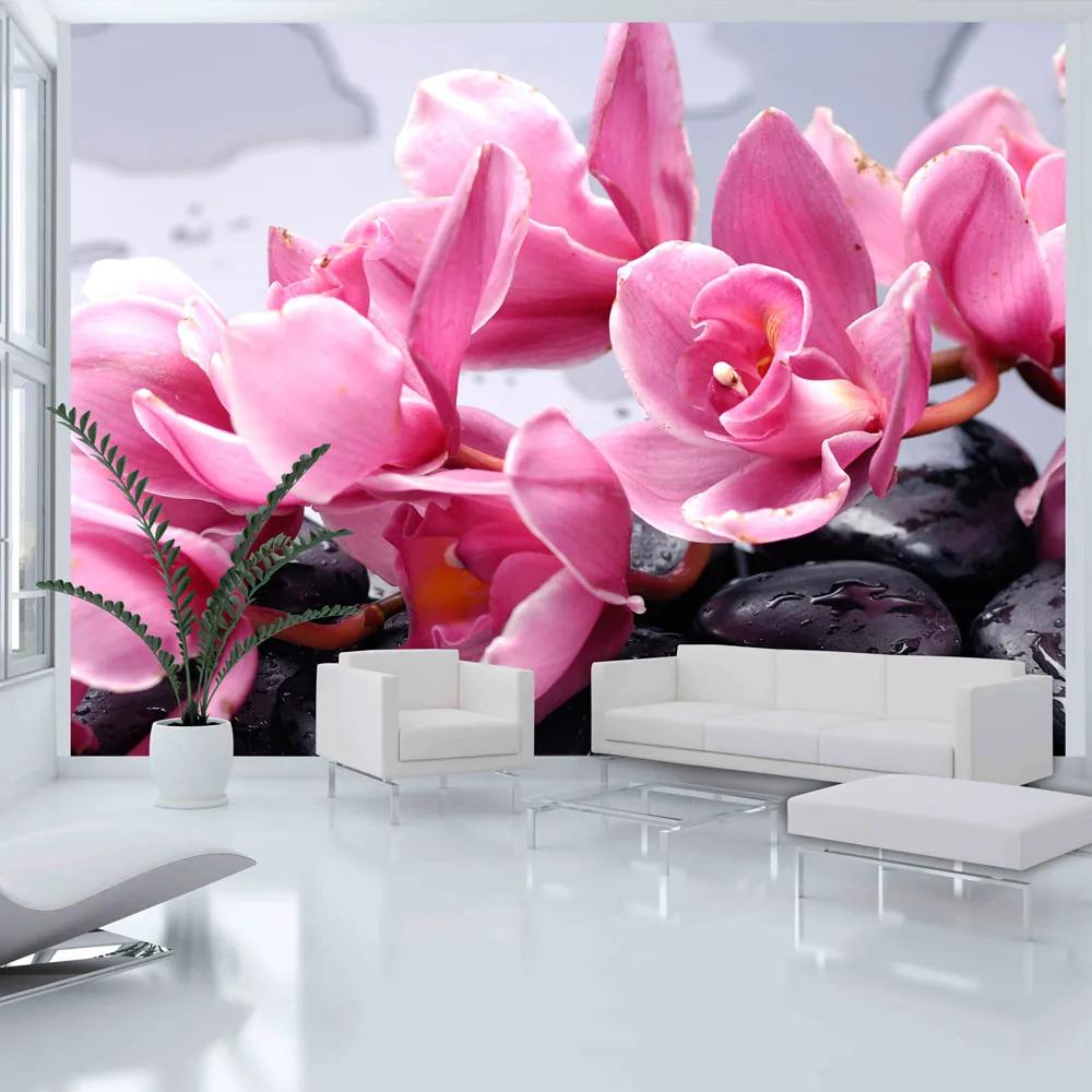 Fototapet Bimago - Orchid flowers with zen stones + Adeziv gratuit 200x154 cm