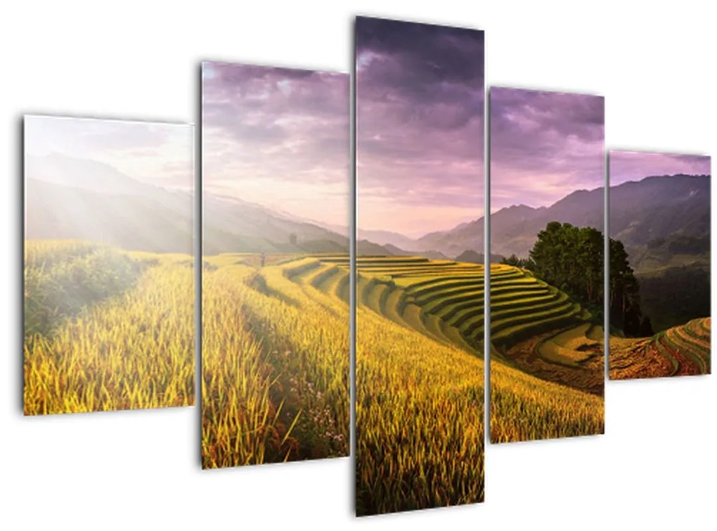 Tablou peisajului (150x105 cm)