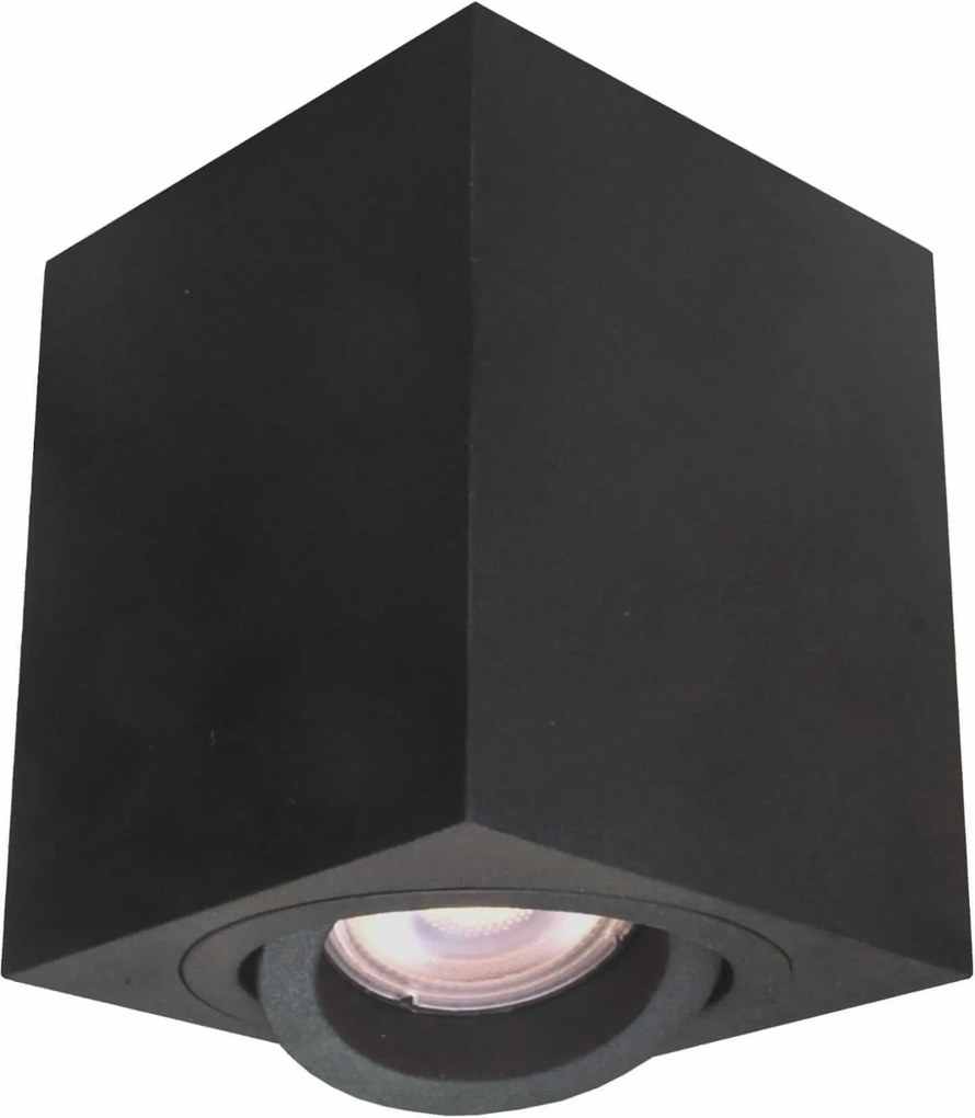 Light Prestige Lyon lampă de tavan 1x50 W negru LP-5881/1SMBK