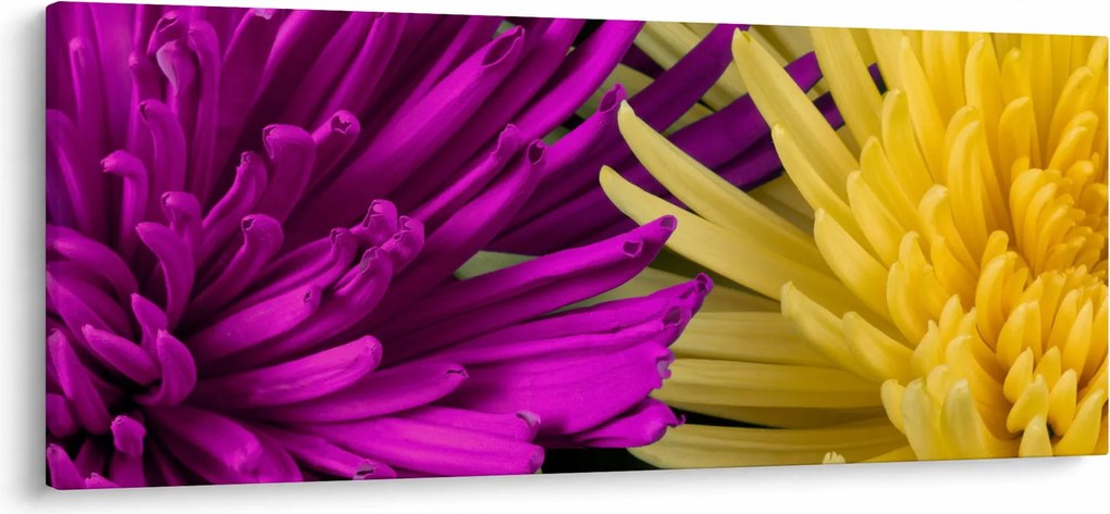 Tablou - detailu cu flori (120x50 cm)