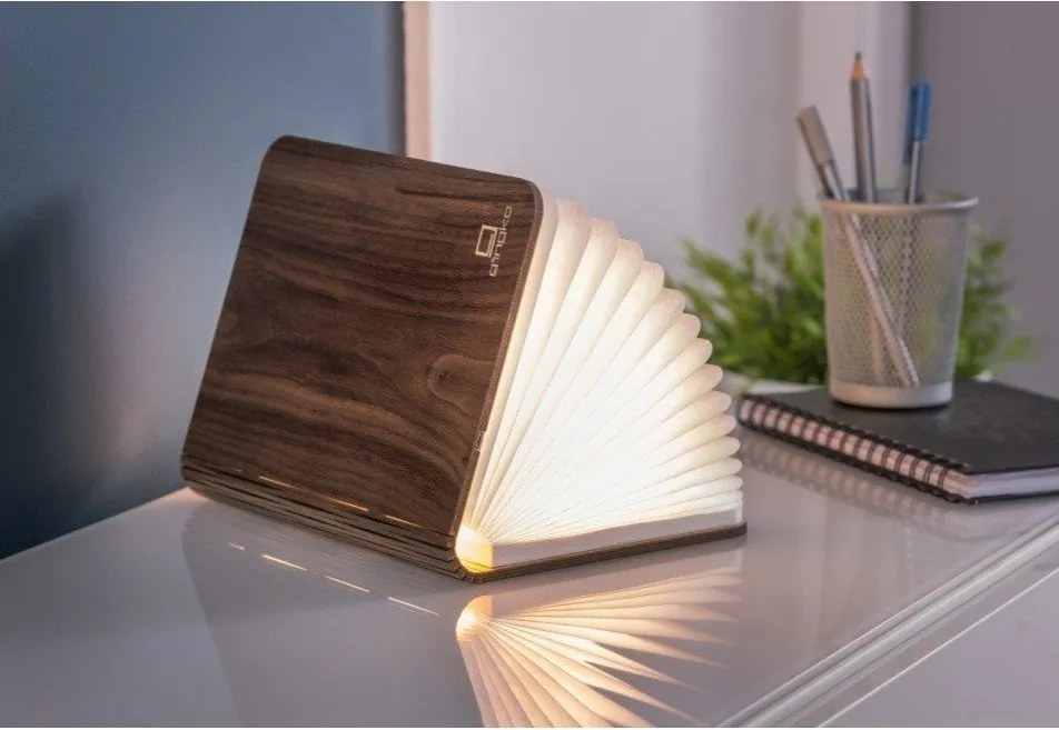 Decorațiune luminoasă maro cu USB Booklight – Gingko