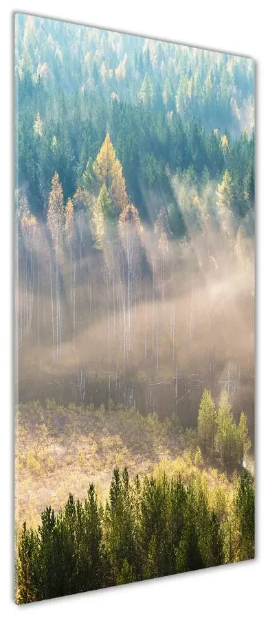 Tablou pe pe sticlă Ceață peste pădure