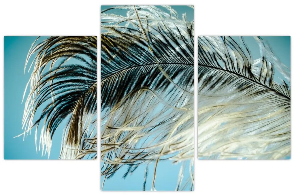 Tablou cu pană (90x60 cm)