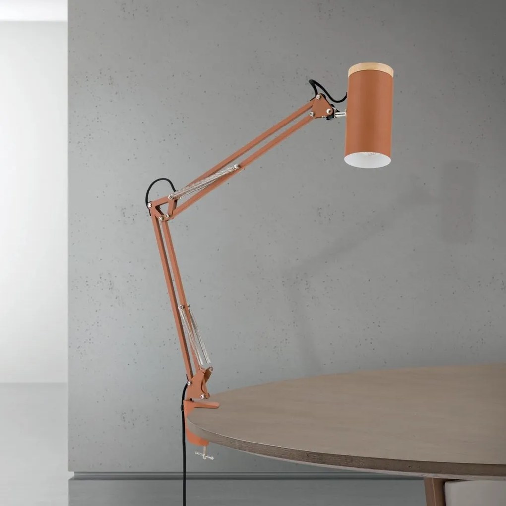 Lampa cu brat articulat si sistem de prindere masa, Gili rosu coral