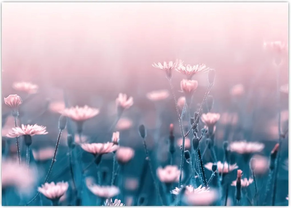 Tablou - Plante din pădure (70x50 cm)