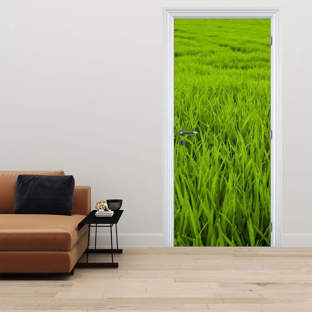 Fototapet pentru ușă - Iarba (95x205cm)