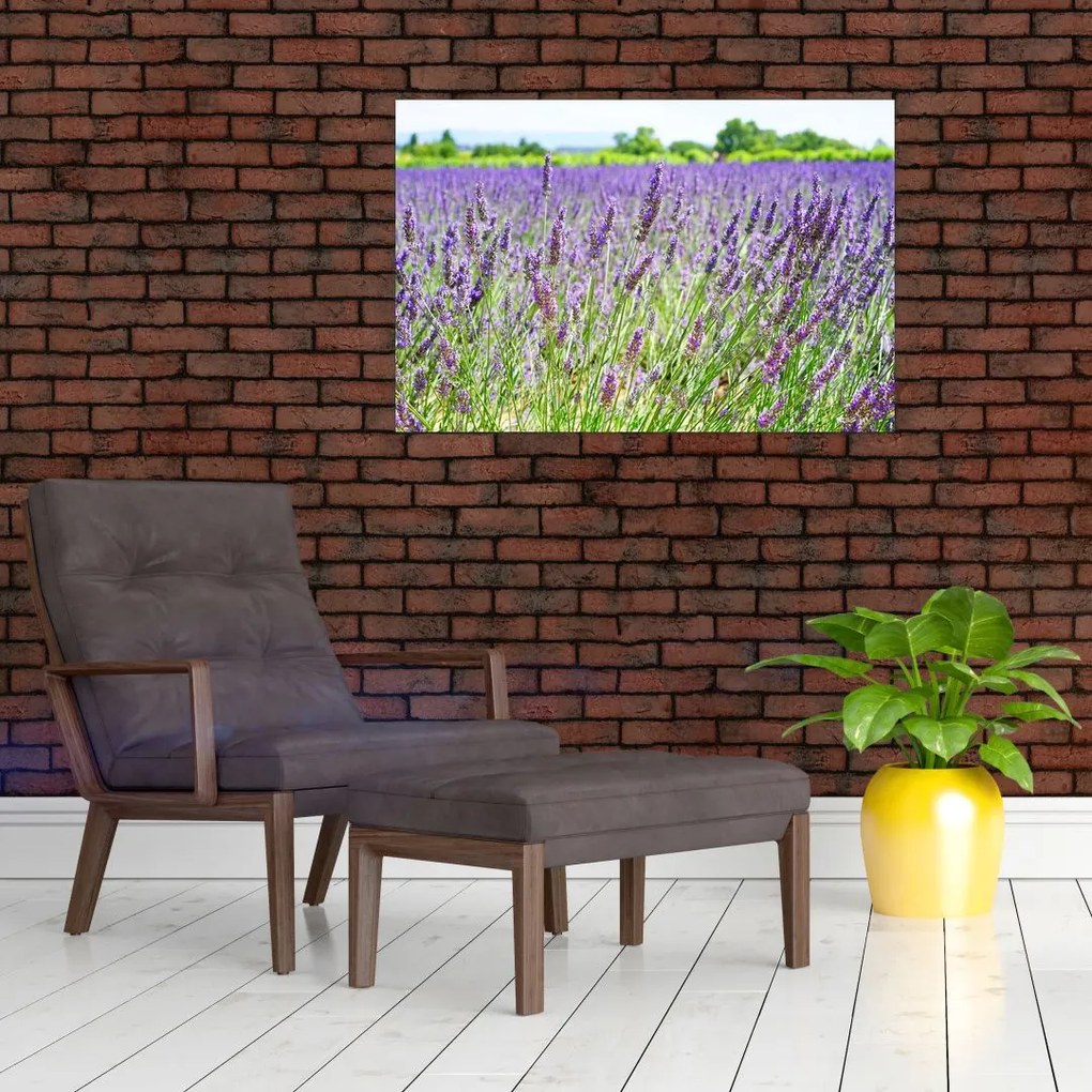 Tablou - Lavandă în câmp (90x60 cm)