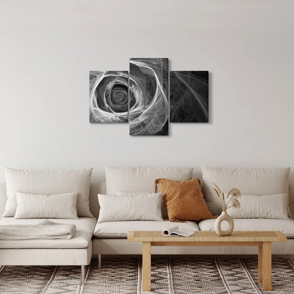 Tablou - Abstract trandafir negru și alb (90x60 cm)