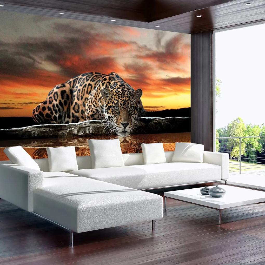 Fototapet - Jaguar (254x184 cm), în 8 de alte dimensiuni noi