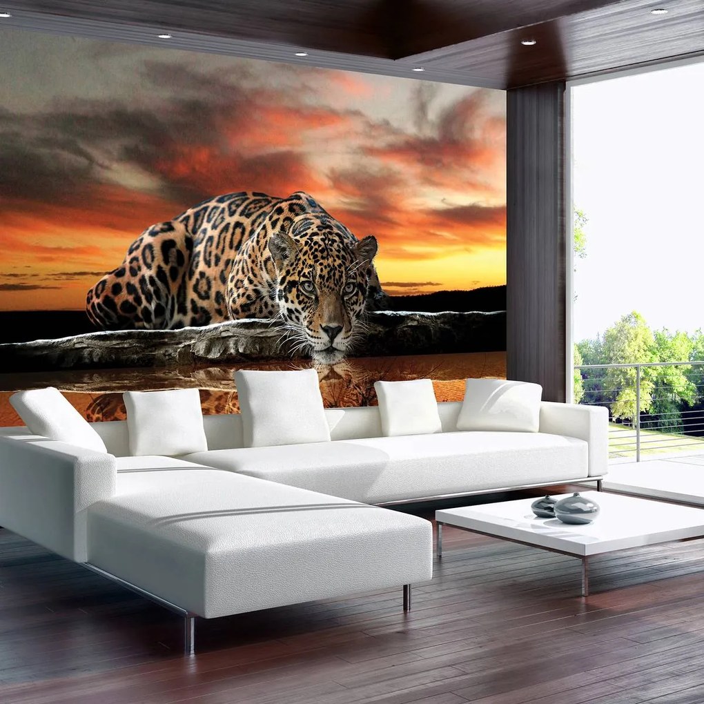 Fototapet - Jaguar (254x184 cm)