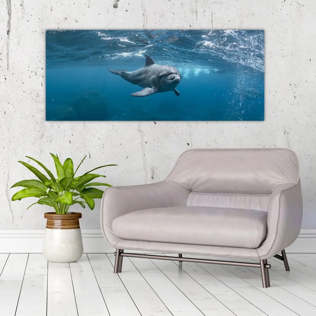 Tablou - Delfin sub apă (120x50 cm)