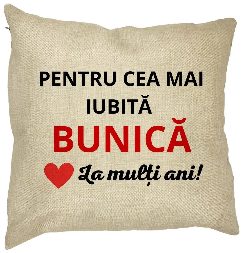 Perna Decorativa pentru Bunica 16, 40x40 cm, Husa Detasabila, Burduf