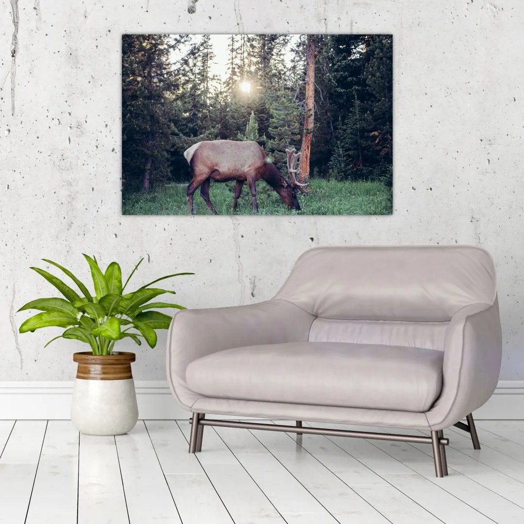 Tablou - Elan în poiană (90x60 cm)