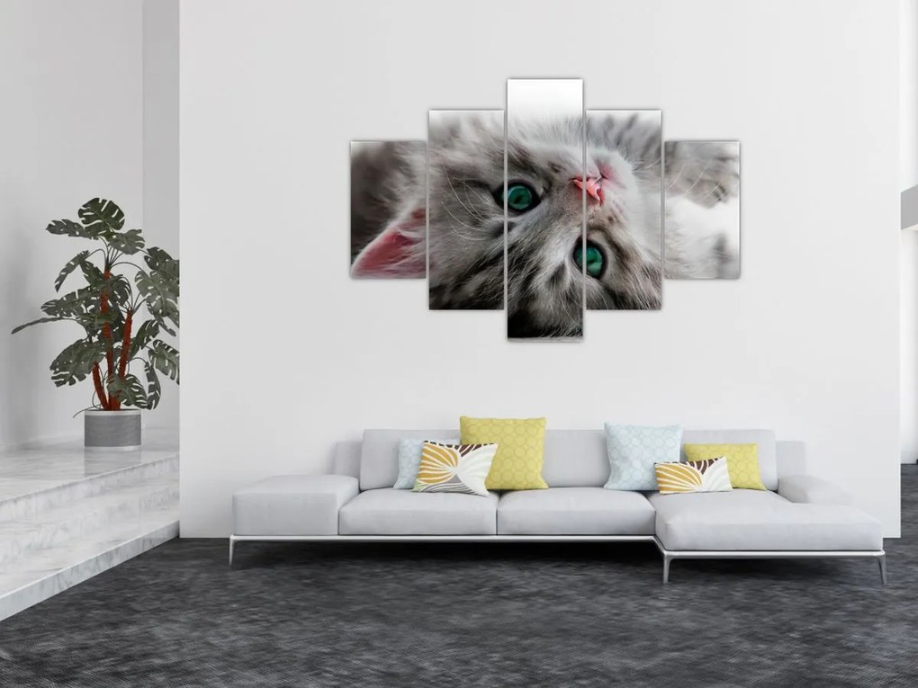 Tablou - Pisica cu ochi verzi (150x105 cm)